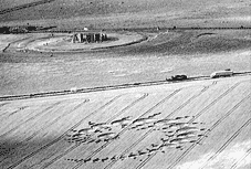 Рис. 4. Формация «Джулия-сет» (919х508 футов (278х154 м), 151 круг) и Стоунхендж. Графство Уилтшир. Посевы пшеницы. 7 июля 1996 года.